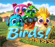 Birds! Slot im Matadorbet-Katalog
