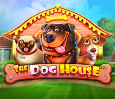 The Dog House Slot im Matadorbet-Katalog